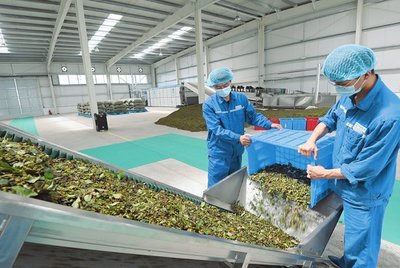 山西:校企聯合促發展