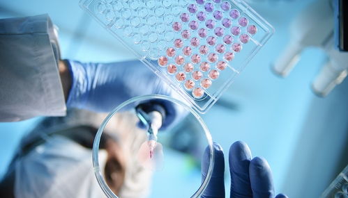 天境生物剝離國內(nèi)資產(chǎn)背后 研發(fā)接連受挫,市值縮水超九成五