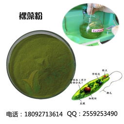 裸藻排毒養(yǎng)顏功效 裸藻 西安維特生物科技 多圖