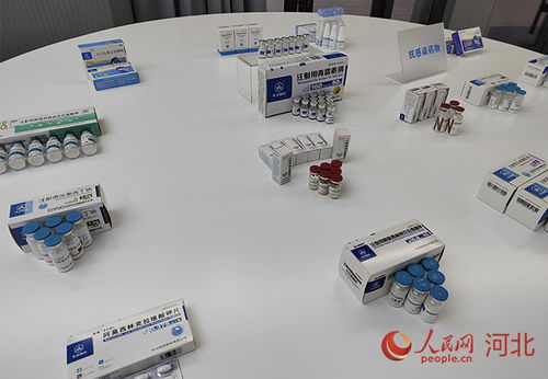 衡水新聞網(wǎng)