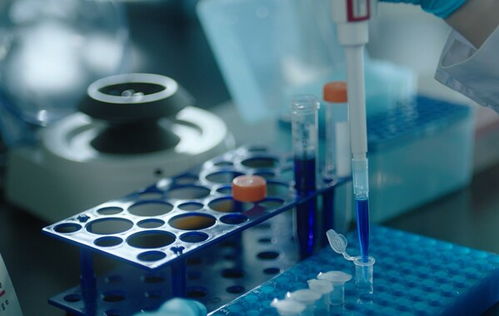 生物醫(yī)藥產(chǎn)業(yè)跨越式發(fā)展 泰諾麥博以多重創(chuàng)新發(fā)展新質(zhì)生產(chǎn)力