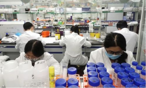 南京 新年第一會 真金白銀支持民營經(jīng)濟發(fā)展壯大