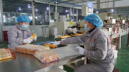 砥礪十年·向新出發 在霍爾果斯與世界對話食品互聯網銷售