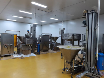 走在前 開新局丨泰安 年產(chǎn)3萬(wàn)噸天然食品餡料產(chǎn)業(yè)基地項(xiàng)目建成，賦能食品互聯(lián)網(wǎng)銷售新格局