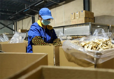 玉屏 市場(chǎng)需求旺，菌棒生產(chǎn)忙，食品互聯(lián)網(wǎng)銷售助農(nóng)增收