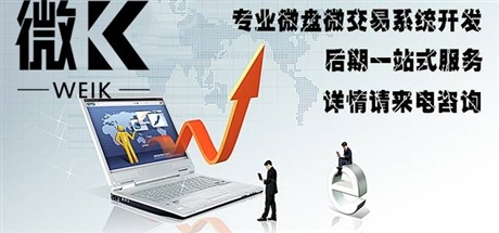 專業微交易系統開發公司,游戲版微交易軟件開發哪家好